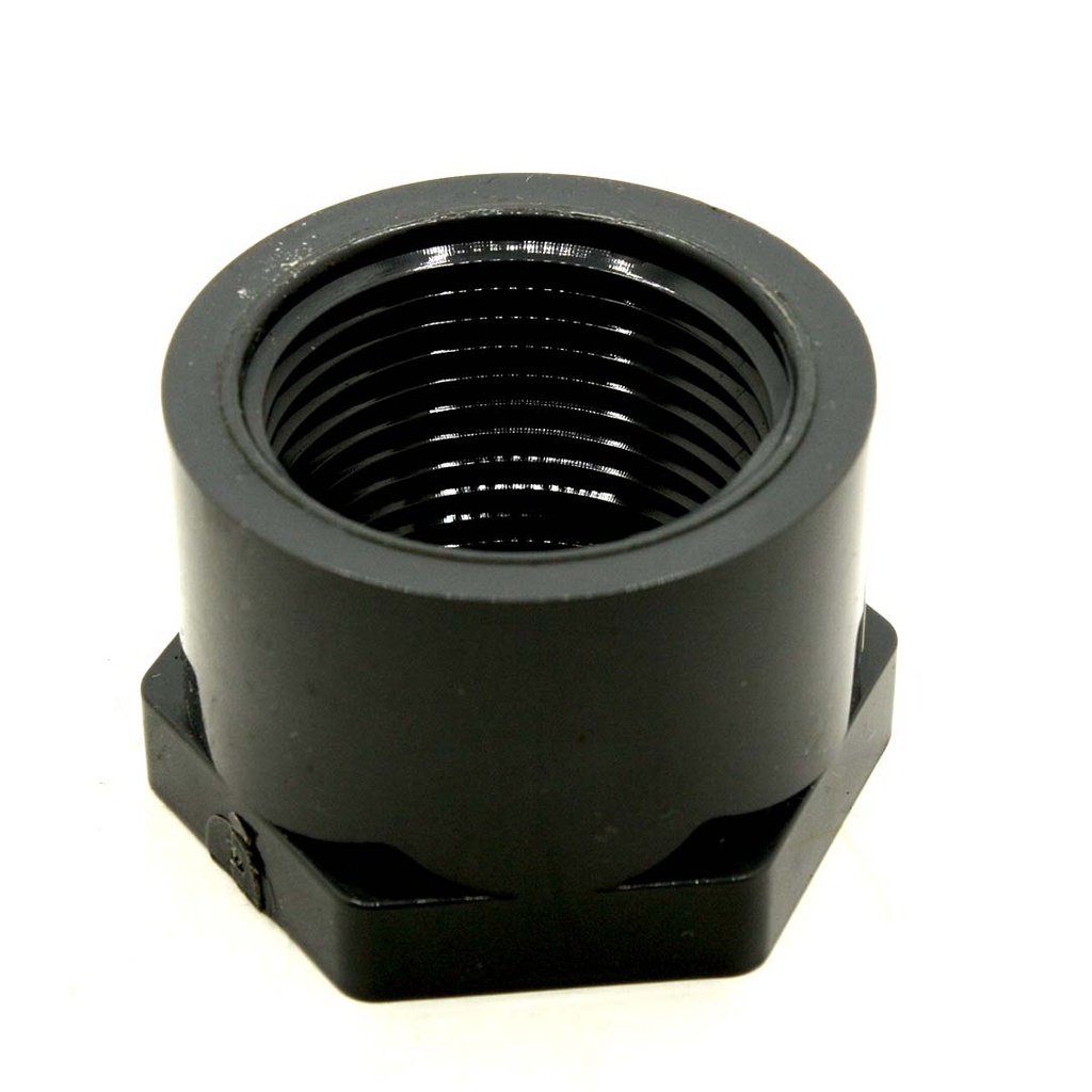 1-1/4" Threaded PVC Cap SCH80 - W02