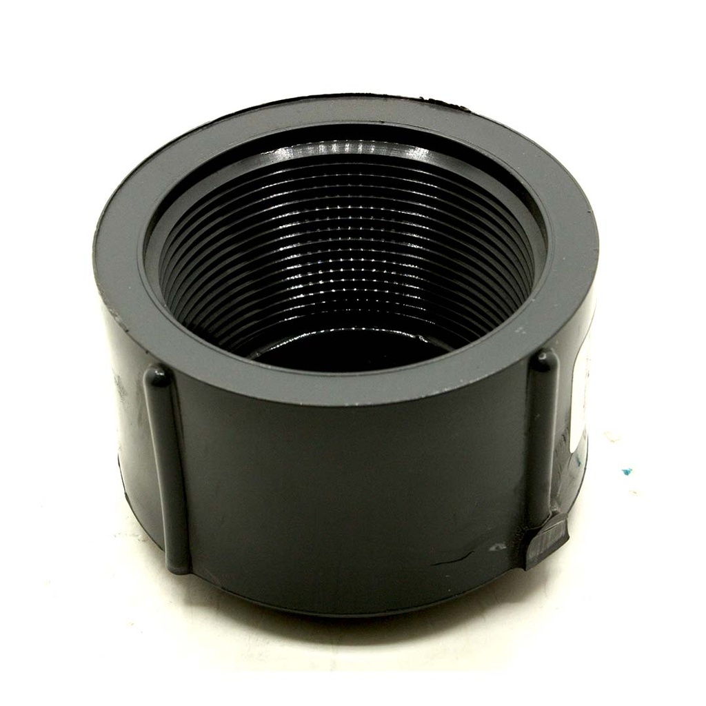 2" Threaded PVC Cap SCH80 - W02
