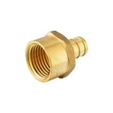 3/4" x 3/4" Brass Adapter F1807 x FPT Lead Free - (PEX B) - W02