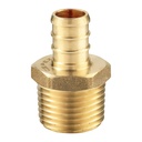 3/4" x 1/2" Brass Male Adapter F1807 x MPT Lead Free - (PEX B) - W02