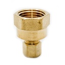 66 3/8 C X 1/4 FIP ADAPTER - W02