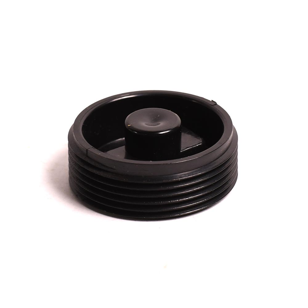 2" ABS STANDARD FLUSH PLUG - W02