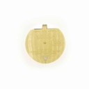 4" PVC Sewer Relief Valve and Cleanout - W02