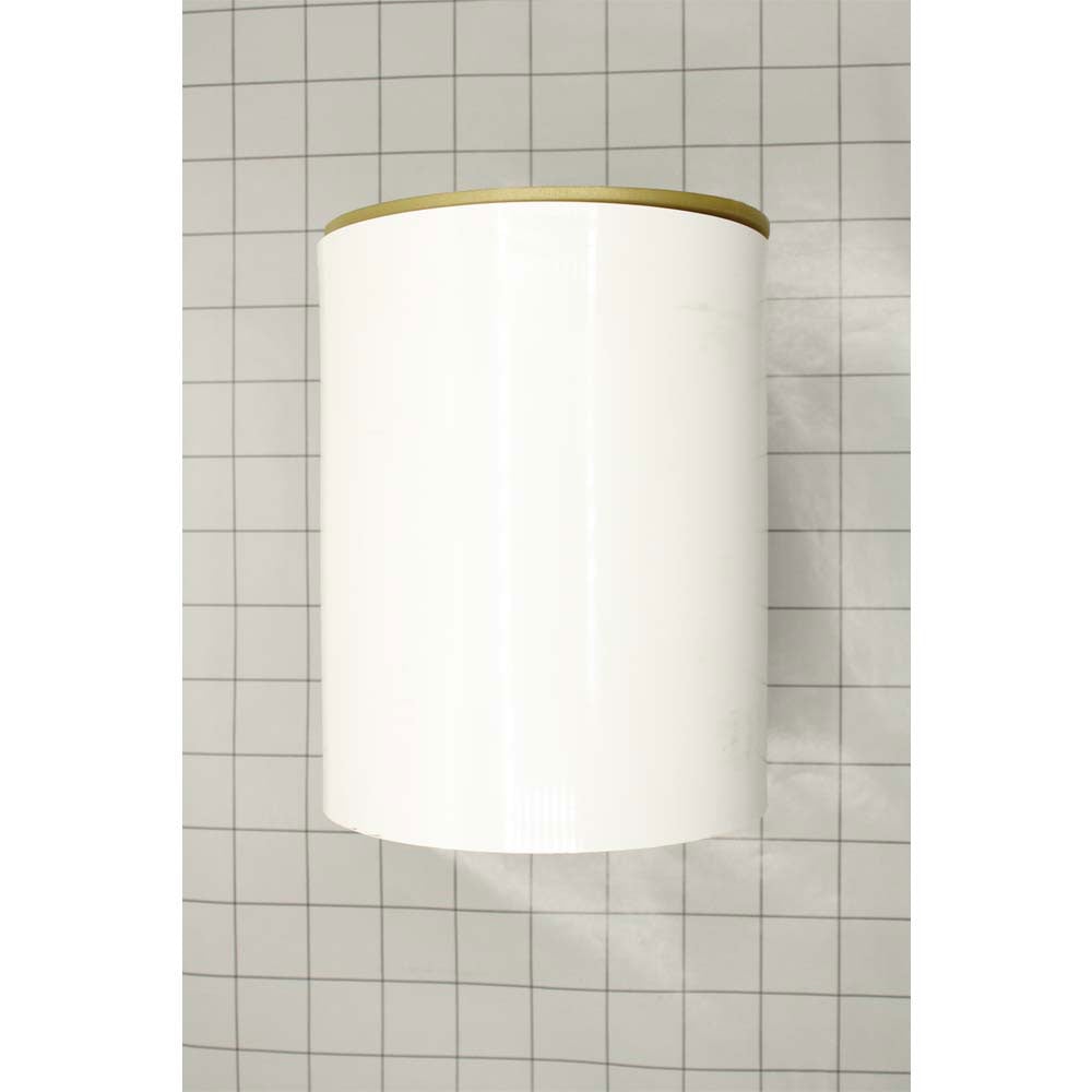 4" PVC Sewer Relief Valve and Cleanout - W04