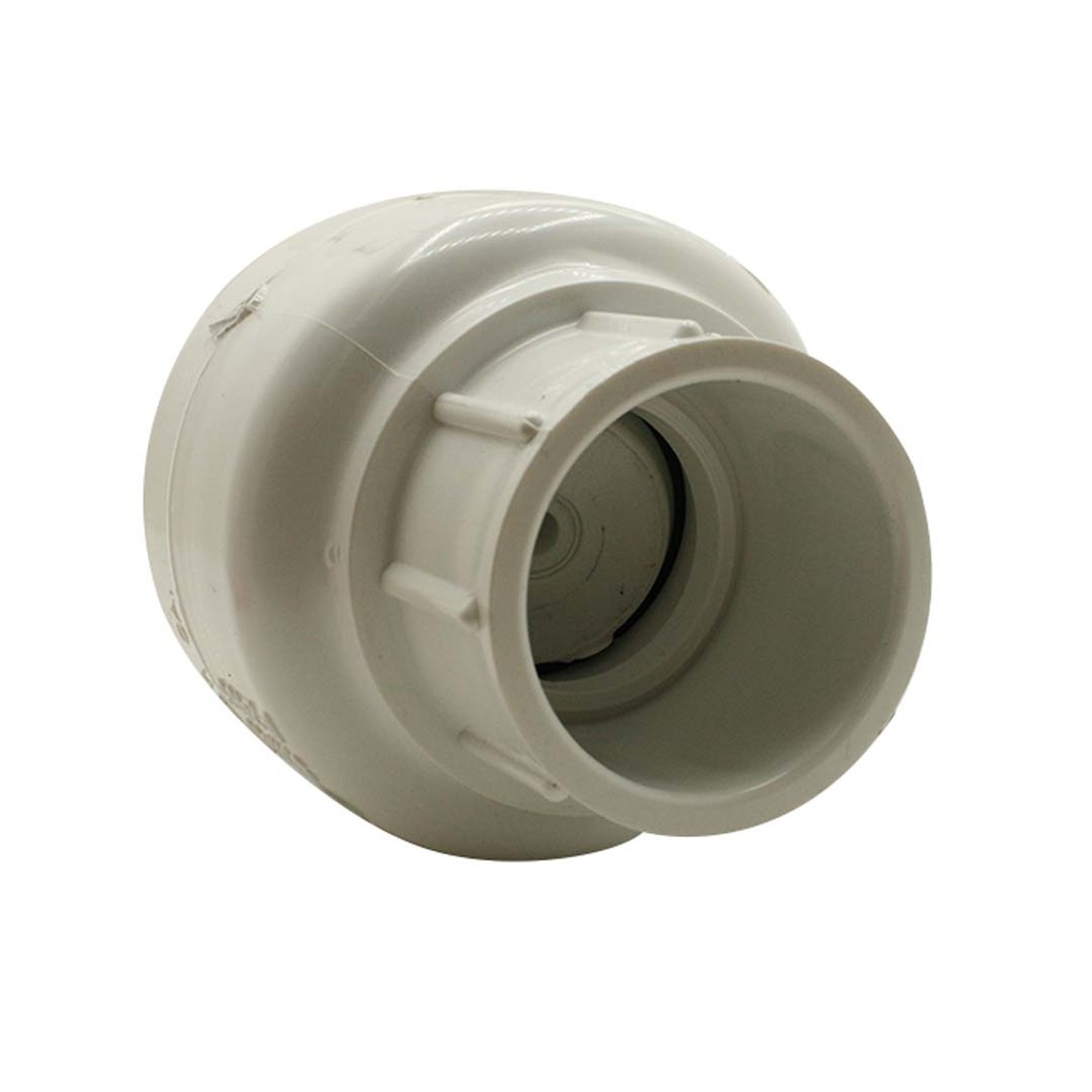 1" Slip PVC Swing Check Valve - W03