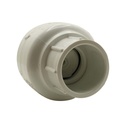 1" Slip PVC Swing Check Valve - W03