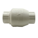 1" Slip PVC Swing Check Valve - W04
