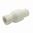 1-1/2" Threaded PVC Swing Check Valve - W02