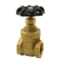 2" FIP Brass Gate Valve - No Lead - W02