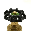 2" FIP Brass Gate Valve - No Lead - W05