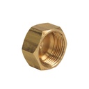1045-T 61CX 1/4" Comp Lead-Free Brass Cap 2/Pack - W02