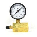 2336-T 2" 30 PSI - 1/4" NPT Bottom Mount 3/4" FNPT Test Pressure Gauge with Tire Valve Fitting (G2012-030GT)
