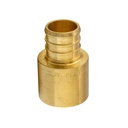 1/2" x 1/2" Brass Female Sweat Adapter F1807 x Sweat Lead Free - (PEX B)