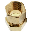 1387-T 66-C 7/8" Comp x 3/4" FIP Lead-Free FIP Adapter - W02