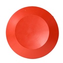 1720-T A.S. SCREW-ON SEAT DISC - W02