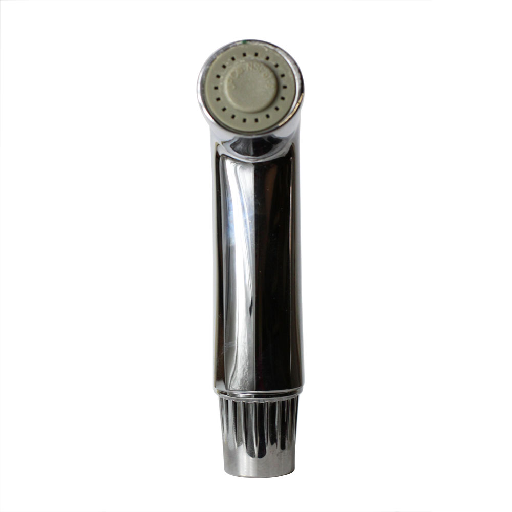 2286-T CHROME SPRAY HEAD - W04