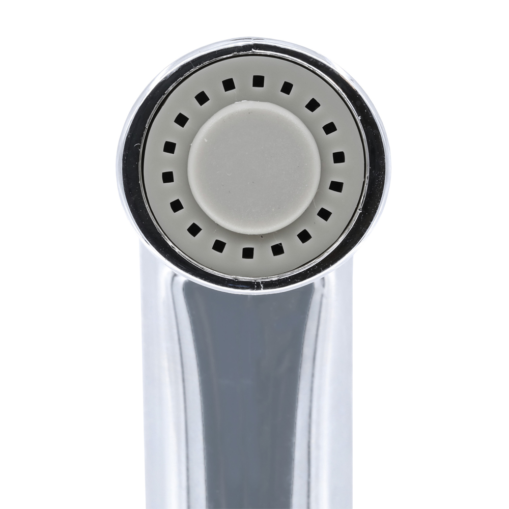 2287-T CHROME SPRAY HEAD /HOSE - 88814 - W05
