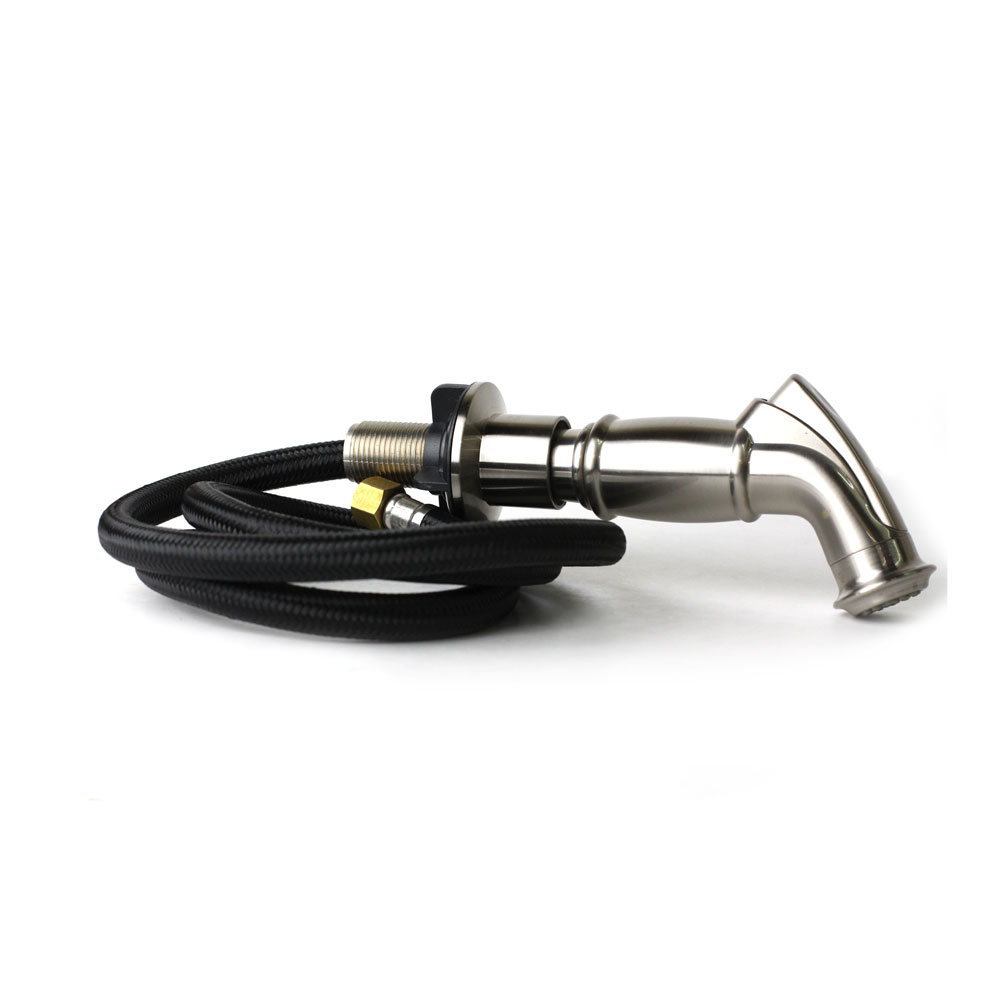2289-T SN SPRAY HEAD W/HOSE - W04