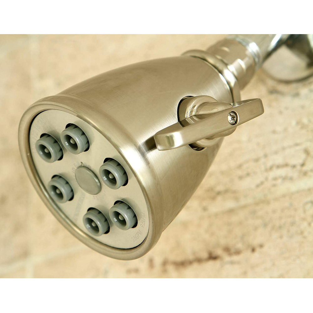 2300-T SN 6-PLUNGER SHWR HEAD - W02