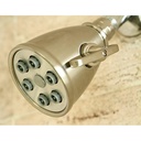 2300-T SN 6-PLUNGER SHWR HEAD - W02