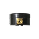 2331-T 30#  2"  30 PSI - 1/4" NPT Bottom Mount Pressure Gauge (G2012-030) - W03