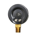 2331-T 30#  2"  30 PSI - 1/4" NPT Bottom Mount Pressure Gauge (G2012-030) - W04