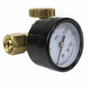 In Line Needle Valve w  Gauge-  1/4" MPT x 1/4" FPT, WP 160 PSI - W02