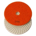 Variable Speed Wet Grinder  with 4" & 5" Diamond Polishing Pad Set - 50, 100, 200, 400, 800, 1500, 3000 Grit & Includes Rubber Velcro Backing Pad - W06