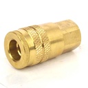 1/4" x 1/8" FPT Industrial Brass Coupler Reducer
 - 50 Pack Bulk - W03