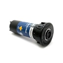 54335 3" Quarter Pattern Spring Loaded Pop-Up - W02