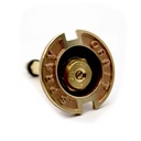 54071  1/2 BRASS POP-UP - W02
