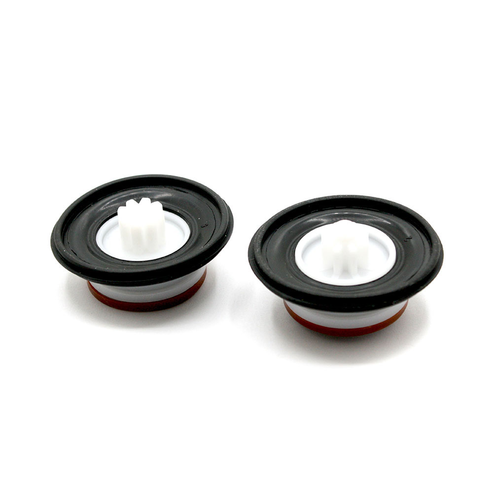 57078 DIAPHRAGM REPAIR KIT - W02