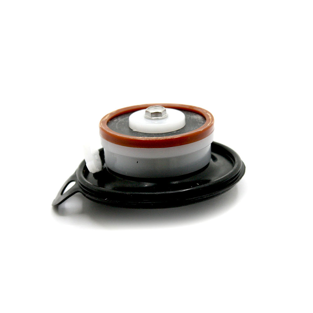 57045 DIAPHRAGM REPAIR KIT - W02
