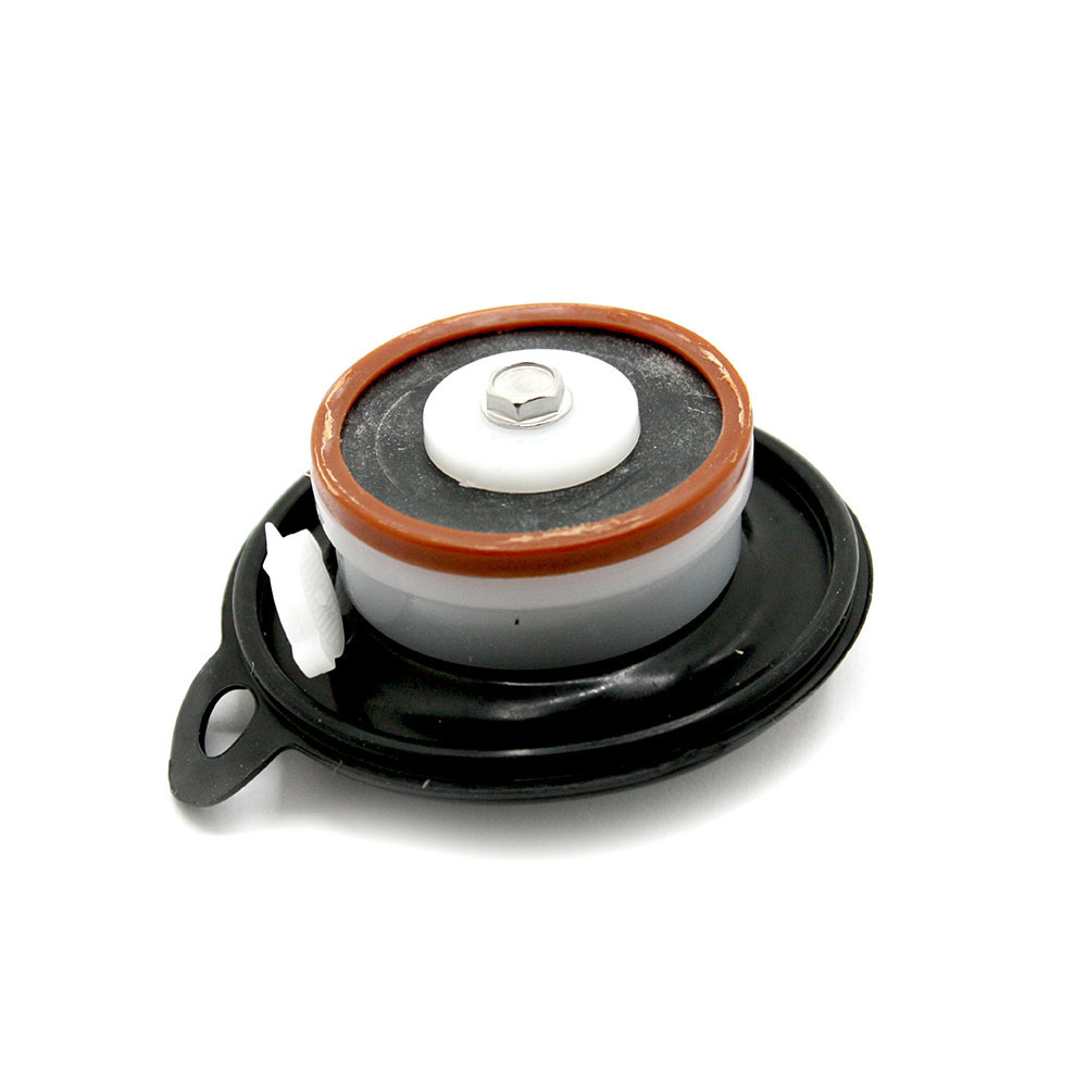 57045 DIAPHRAGM REPAIR KIT - W04