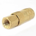 1/4" x 1/4" FPT Lincoln Series Brass Coupler
 - 100 Pack Bulk - W02