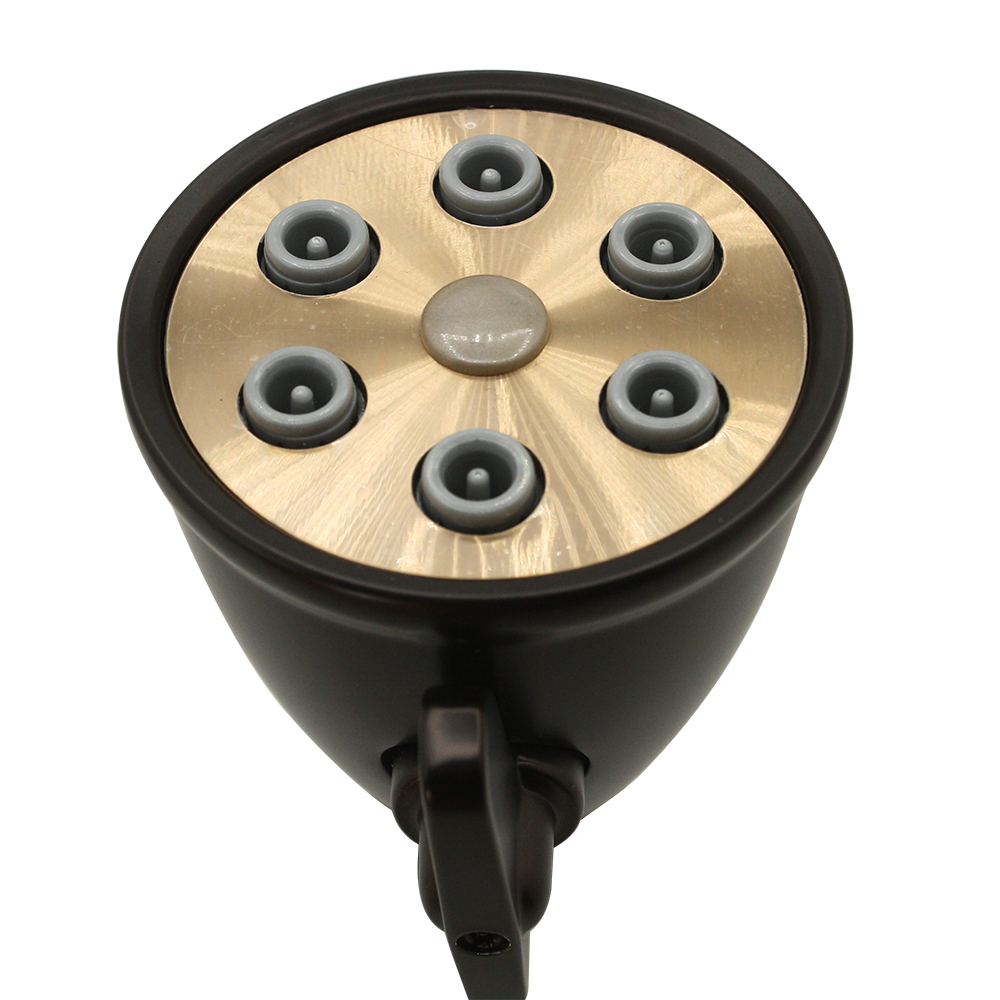 5885-T 6 JET SHWR HEAD ORB - W04