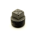 2-1/2"  Black Steel Plug   - W04