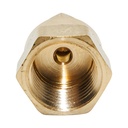 66 3/16 C X 1/8 FIP ADAPTER - W04