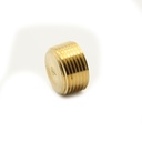 1/2 BRASS COUNTERSUNK PLUG - W03