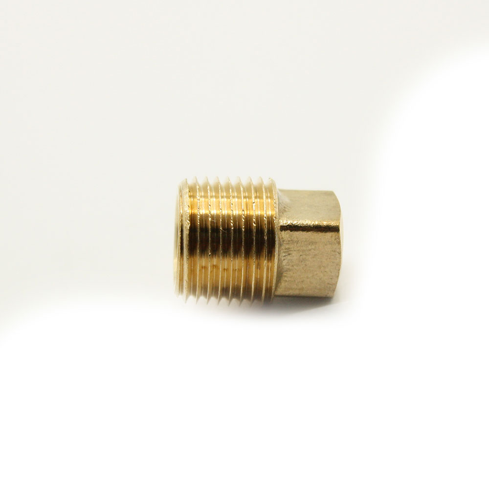 3/4 Plug Brass (BARSTOCK) - W04