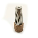 3/4" FIP Brass Foot Valve - W02