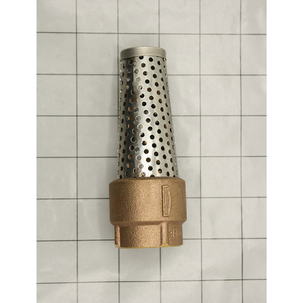 3/4" FIP Brass Foot Valve - W05