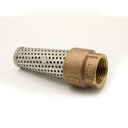 1-1/4" FIP Brass Foot Valve - W02