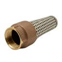 1-1/4" FIP Brass Foot Valve - W04