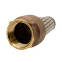 1-1/4" FIP Brass Foot Valve - W05