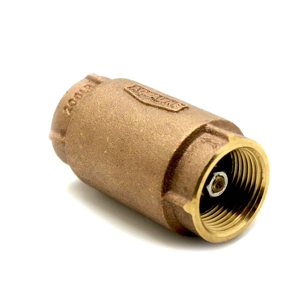 1" Threaded Brass Spring Check Valve - W02
