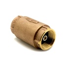 1-1/4" Threaded Brass Spring Check Valve - W02