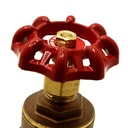 1-1/2" FIP Brass Gate Valve - Economy - W06