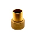 1" Brass Insert Female Adapter - W05