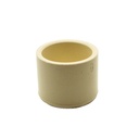 1/2 CPVC CAP - W05